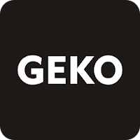 GEKO DVR