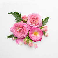 Flowers Stickers WAStickerApps