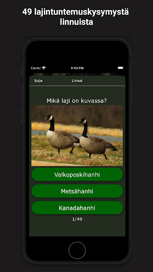 Metsästysvisa Screenshot 2