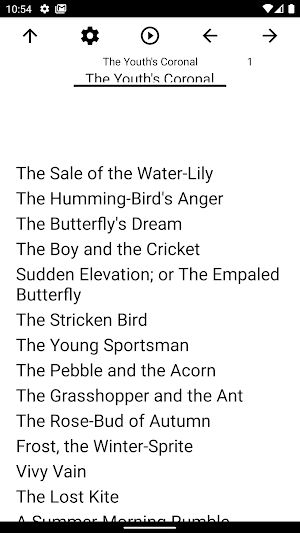 Book, The Youth's Coronal Screenshot 0