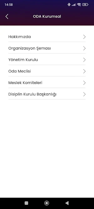 Bodrum Ticaret Odası Screenshot 3