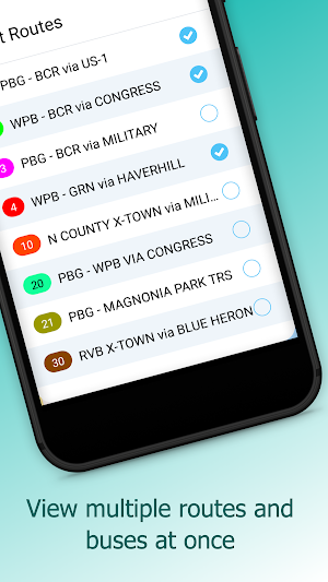 Palm Tran Screenshot 2