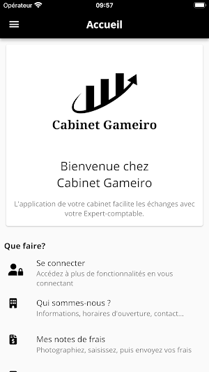Cabinet Gameiro Screenshot 0