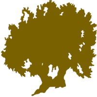 DOBaena