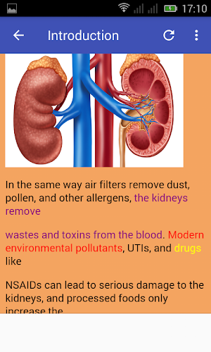 Kidney Cleanser Screenshot 1