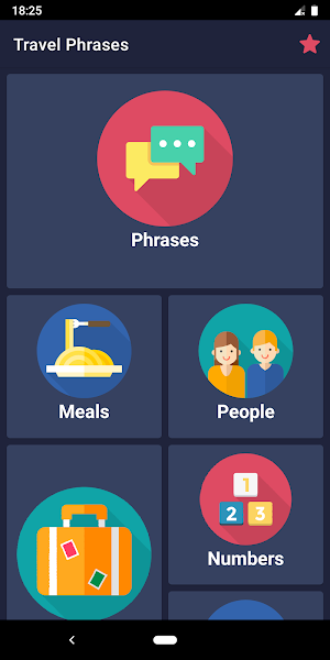 Travel Phrases Screenshot 1