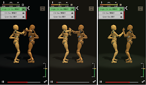 Wing Chun Trainer Screenshot 3