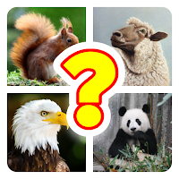 Smart Quiz: Guess Animals Name