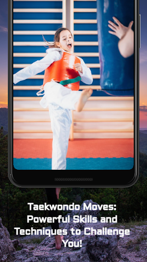 Taekwondo Moves Guide Screenshot 1