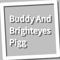 Book, Buddy And Brighteyes Pig