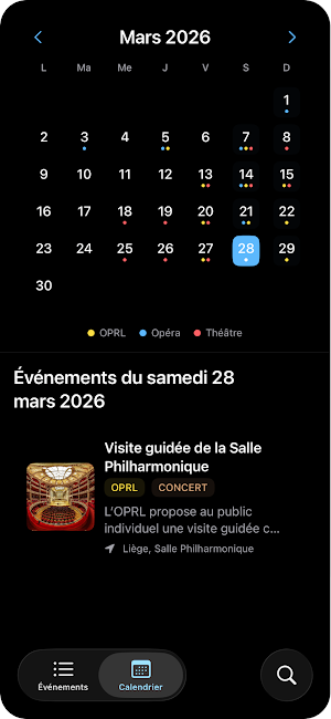 Liège Culture Screenshot 2