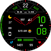 WR 008 Hybrid Watch Face