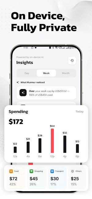 Private Expense Tracker Murmur Screenshot 3