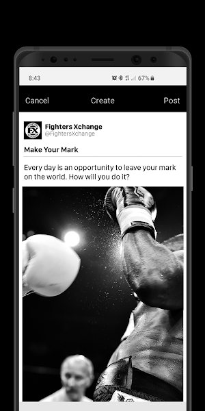 Fighters Xchange Screenshot 2
