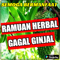 Ramuan Herbal Gagal Ginjal Ter