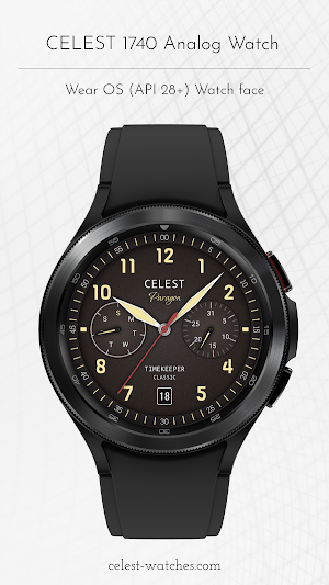 CELEST1740 Analog Watch Screenshot 0