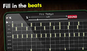 Pro Tempo Screenshot 0