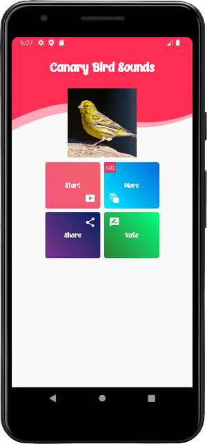 Canary Bird Sounds Screenshot 0