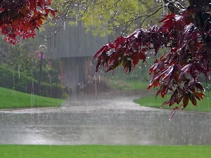 Rain Wallpapers Screenshot 0