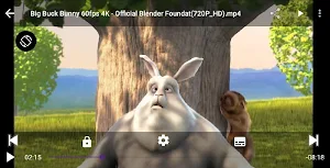 MN Player Screenshot 0