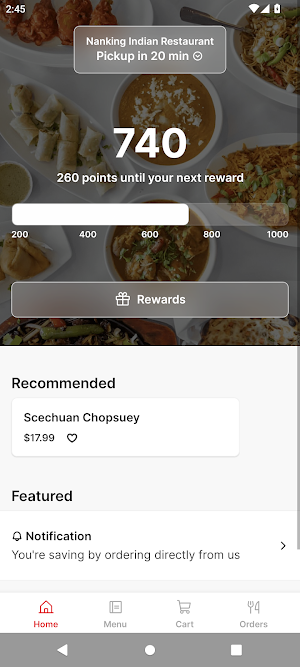 Nanking Indian Screenshot 0