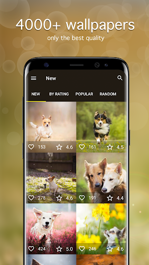 Dog Wallpapaers & Puppy Backgrounds Screenshot 0