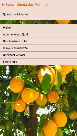 Quinta dos Moinhos Screenshot 1