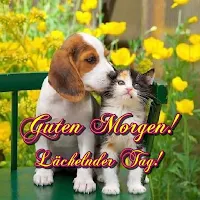 Guten Morgen, lächelnder Tag!