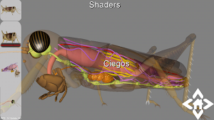 3D Grasshopper Explorer Screenshot 1