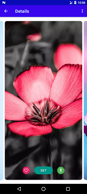 Flower Wallpaper 4K Screenshot 3