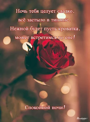Спокойной ночи любовь моя Screenshot 2