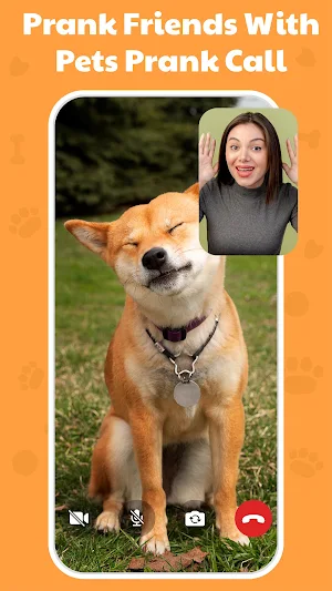 Dog Translator & Dog Training Screenshot 1