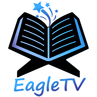 Eagle TV Mandvi
