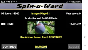 Spin-a-Word Screenshot 3