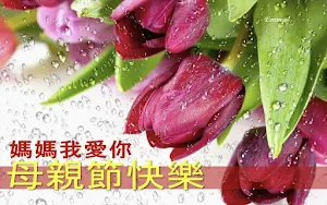 Happy Mother's Wishes Cards Screenshot 1
