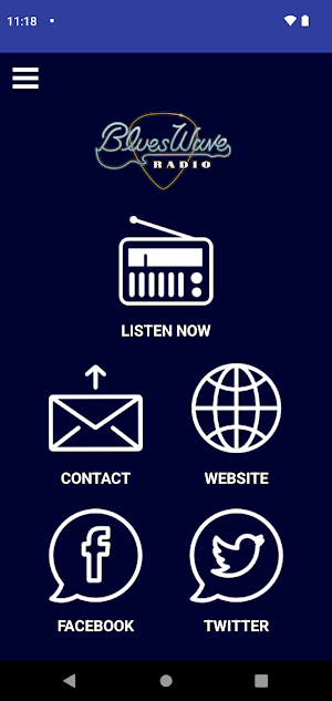 BluesWave Radio Screenshot 1