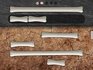 Match and Measure - US Screenshot 2
