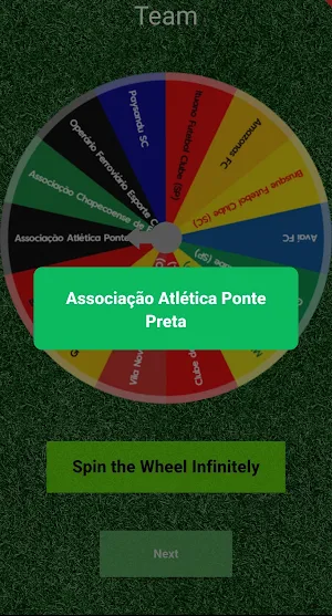 Brazilian League Simulation Screenshot 1