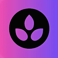 Calm Oasis : Ambience & Sleep