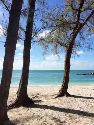 Florida Wallpaper HD Screenshot 1