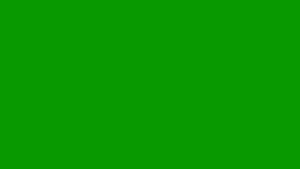 Security Race Flags / Driving  Screenshot 1