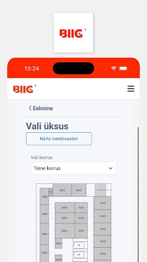 BIIG Screenshot 2