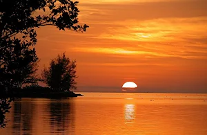 Florida wallpapers Screenshot 3