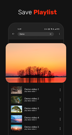 Tube Music Downloader Screenshot 2