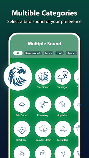 Bird Ringtone: Bird Sound Screenshot 1