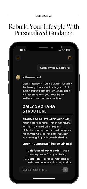 KAILASA AI Screenshot 2