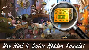 FrozenWorldMysteryHiddenObject Screenshot 3
