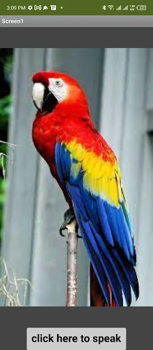 Parrot Screenshot 0