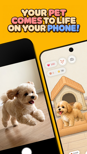 PoketPet- Always With Your Pet Screenshot 0