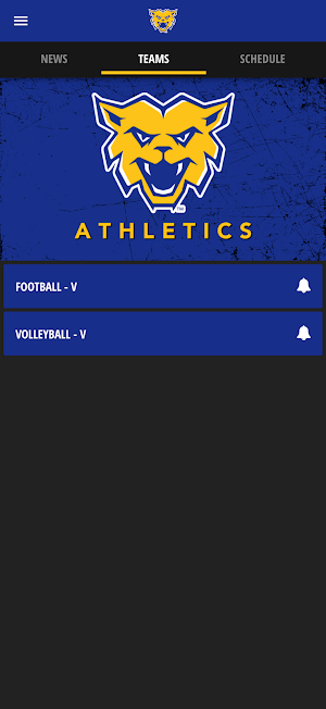 BGA Athletics Screenshot 3